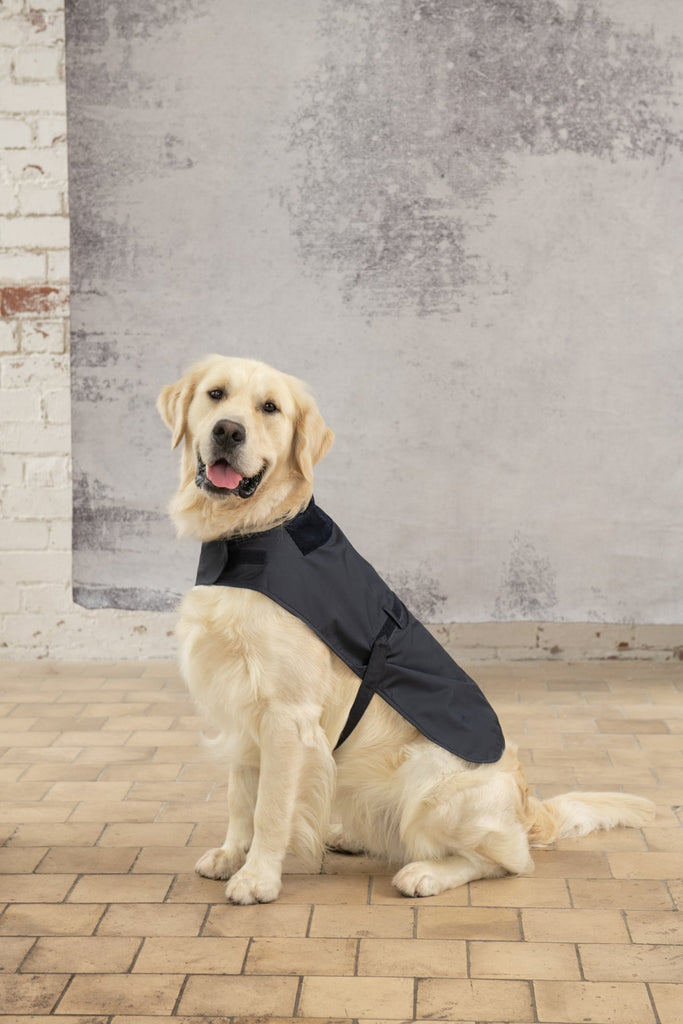 Heritage Dog Coat Nightshade