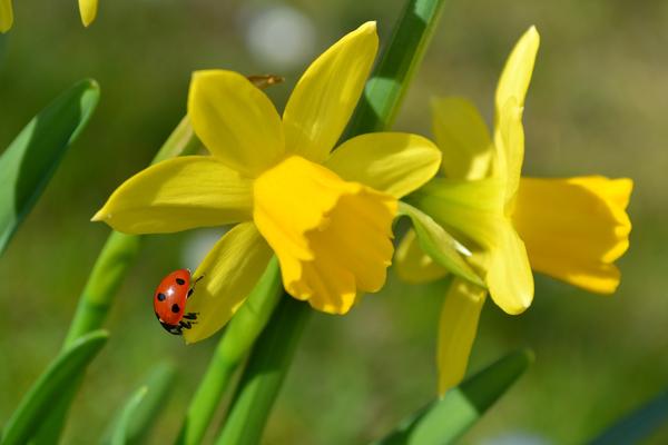 Get Creative This Easter: Food and Craft Inspiration - Lighthouse