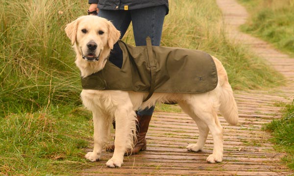 Barbour landrover dog coat on sale