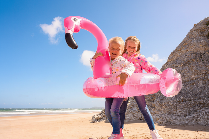 Cropped flamingo image