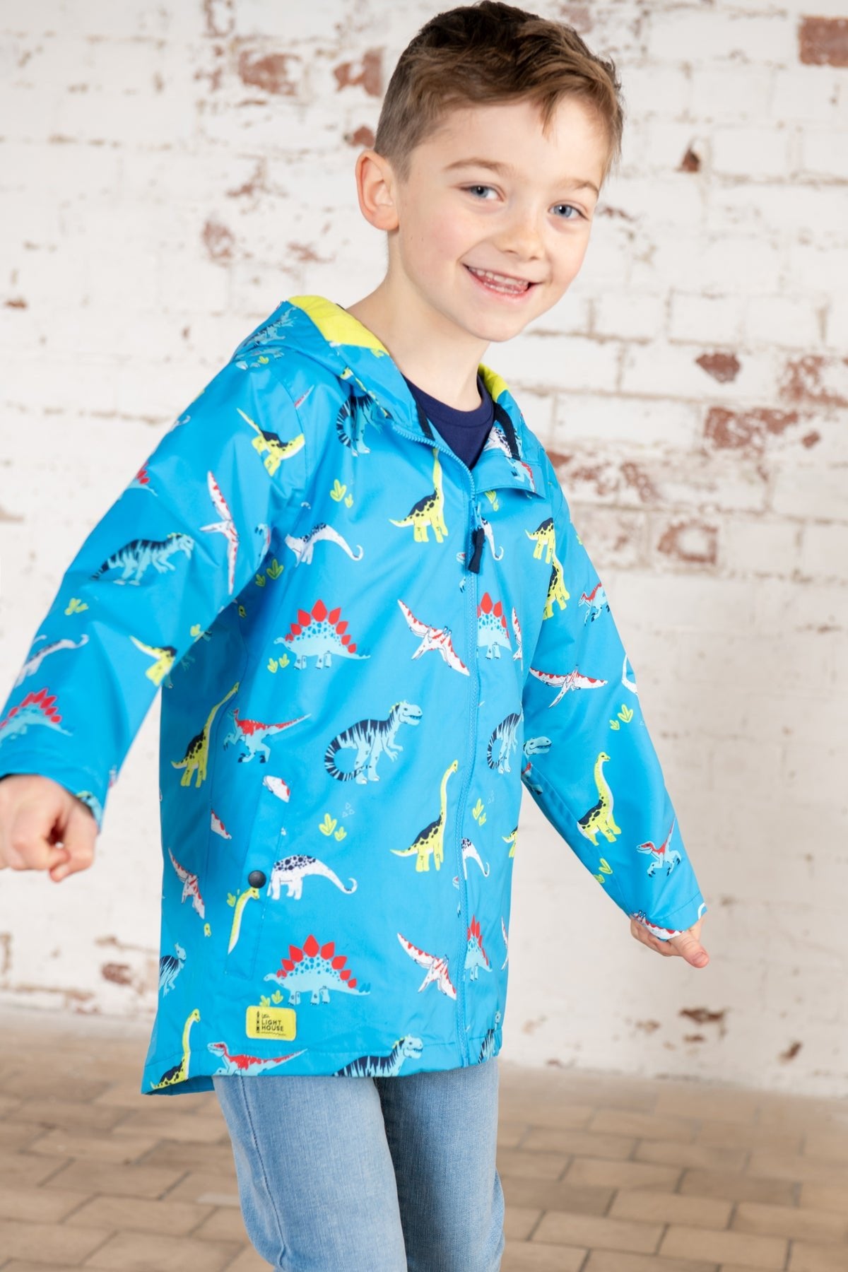 Dinosaur waterproof jacket sale