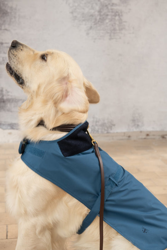 Heritage Dog Coat - Deep Sea-Lighthouse