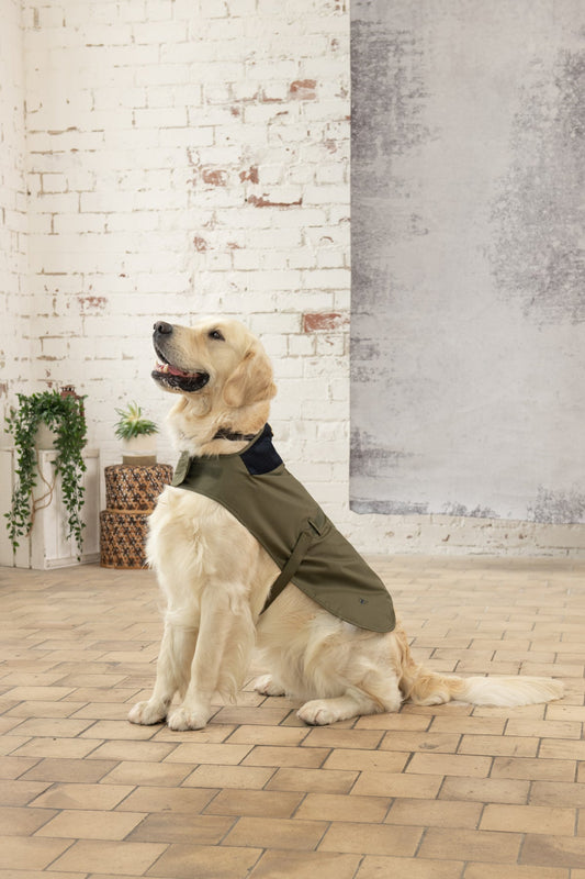 Heritage Dog Coat - Fern-Lighthouse