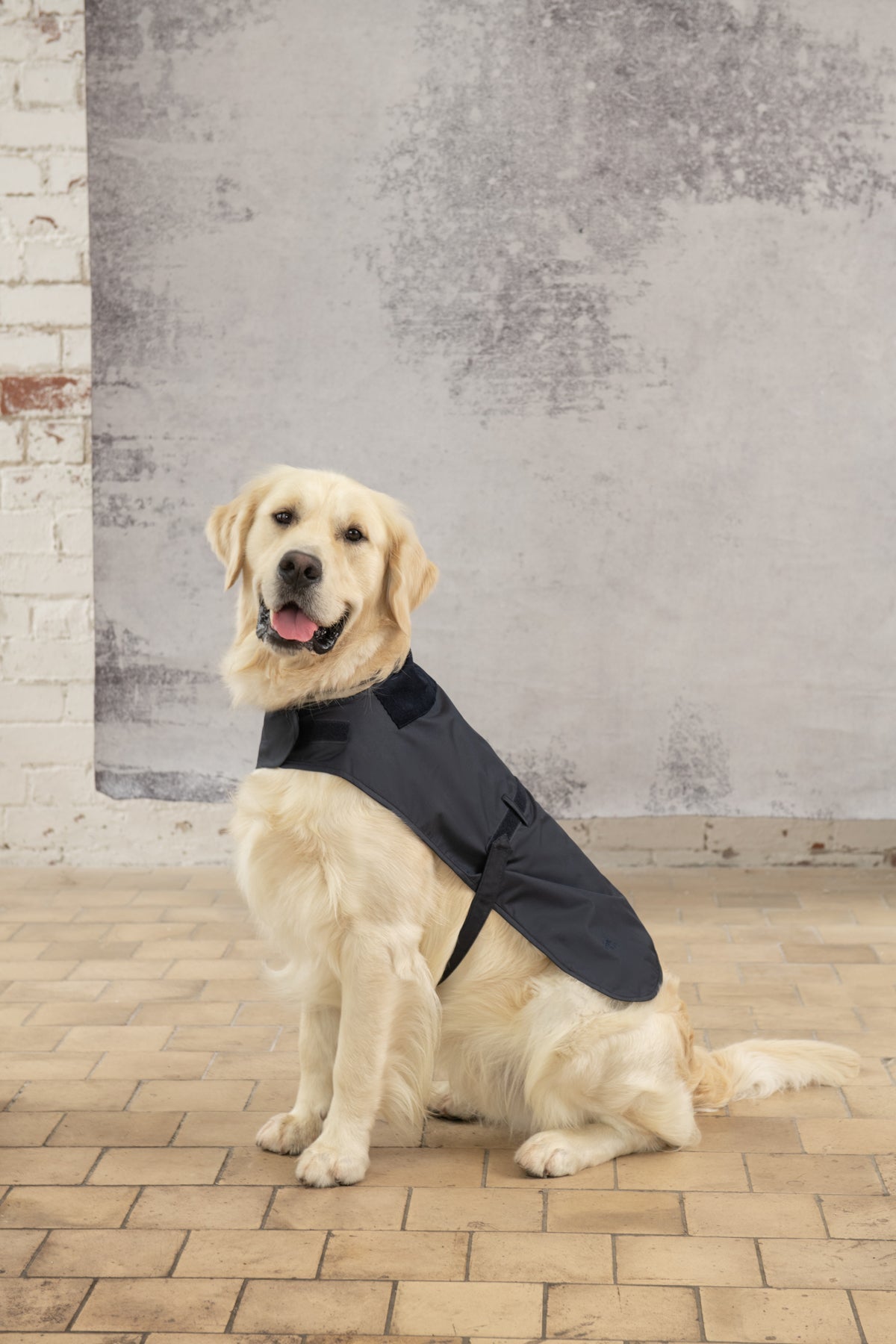 Heritage Dog Coat. A Raincoat For Your Dog Lighthouse