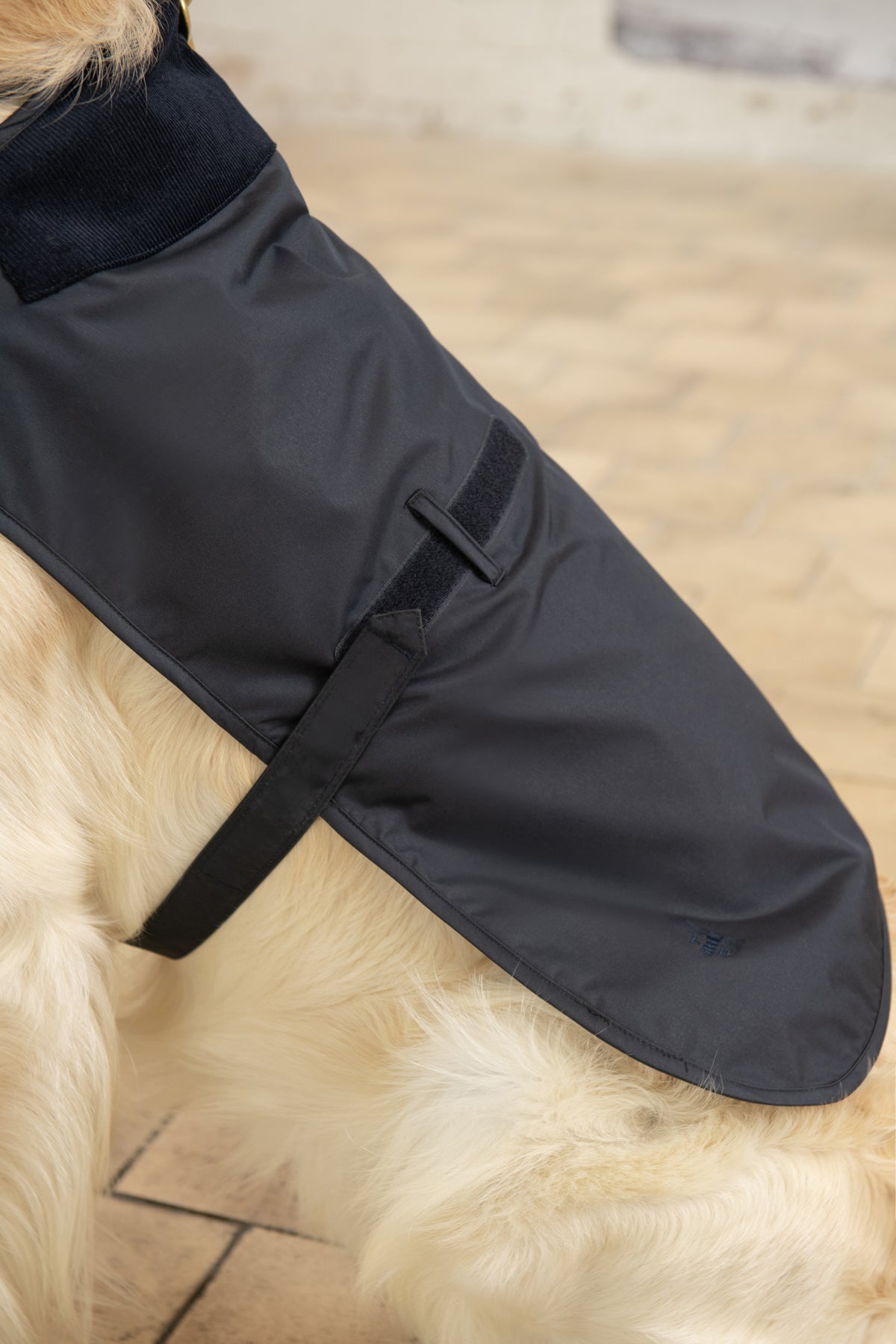 Heritage Dog Coat. A Raincoat For Your Dog Lighthouse